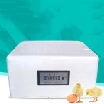 22 Eggs Dual Power Eggs Incubator Digital Mini Automatie Incubatores for Hatching Turkey Goose Quail Chicken Eggs Egg Ha