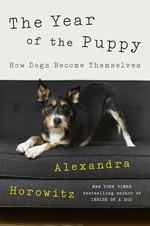 The Year of the Puppy