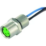 Neupravený zástrčkový konektor pro senzory - aktory Murr Elektronik 7000-08571-9700100 1.00 m, 1 ks