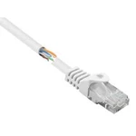 Síťový kabel RJ45 Basetech BT-2272258, CAT 5e, U/UTP, 3.00 m, bílá