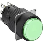 Světelné tlačítko Schneider Electric XB6EAW3B1P, 250 V, 3 A, černá, zelená, 5 ks