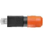 Připojovací kabel pro senzory - aktory Weidmüller IE-C6FS8LG0200A44A40-X 2526730200 zástrčka, rovná, 20.00 m, 1 ks