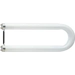 Zářivková trubice 607 mm Philips Lighting 110 V 2G13 36 W N/A en.třída: A (A++ - E) zářivkový tvar 1 ks