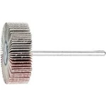 Vějířová bruska NA KŮŇ PFERD 44402323 Průměr 30 mm