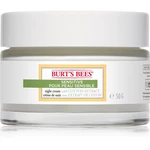Burt’s Bees Sensitive hydratační noční krém pro citlivou pleť 50 g