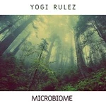 Yogi Rulez – Microbiome