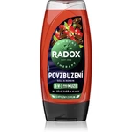 Radox Men Invigorating sprchový gél pre mužov 3v1 225 ml