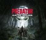 Predator: Hunting Grounds Steam CD Key