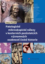Patologické mikroskopické nálezy v kosterních pozůstatcích významných osobností české historie, Povýšil Ctibor