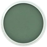 PanPastel 9ml – 640.1 Permanent Green Extra Dark