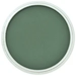 PanPastel 9ml – 640.1 Permanent Green Extra Dark