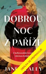 Dobrou noc z Paříže - Healey Jane