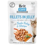 Brit Care Filety v Jelly with Tender Turkey/Shrimps - 85g