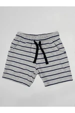 Denokids Basic Boys' Striped Gray Shorts