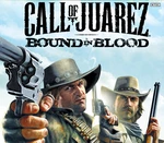 Call of Juarez: Bound in Blood EU Steam CD Key