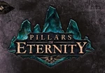 Pillars of Eternity: Complete Edition AR XBOX One CD Key