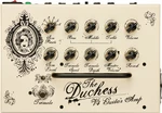 Victory Amplifiers V4 Duchess Guitar Amp TN-HP