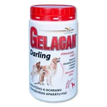 GELACAN Darling 500 g