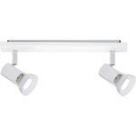 Paulmann Teja 66703 stropná lampa LED  GU10  20 W biela