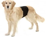 Karlie Inkontinenční kalhoty pro psy černé  90x30cm
