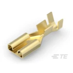 TE Connectivity FASTIN-FASTONFASTIN-FASTON 5-160447-4 AMP