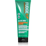 Fudge Clean Mint Shampoo šampon na mastné vlasy 250 ml