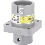 EPIC POWER LOCK A6 C L3/GY QP M12 LAPP 44420230, 1 ks