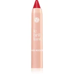 Yves Rocher Le Brillant hydratační rtěnka v tužce odstín 08 Rouge Frambo 2.2 g