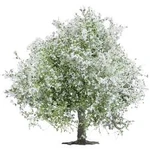 Busch 3651 BU kvetoucí jabloň 75 mm Výška:75 mm