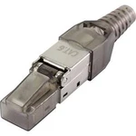 Zástrčka, rovná Renkforce RF-4538314 černá (transparentní), 1 ks