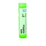 BOIRON Apis Mellifica CH5 4 g