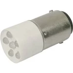 LED žárovka BA15d CML, 1864035W3D, 24 V, 1200 mcd, chladná bílá