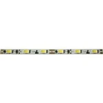 LED pás 12VDC Barthelme 50025633, 50025633, 250 mm, teplá bílá