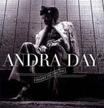 Andra Day - Cheers To The Fall (2 LP)