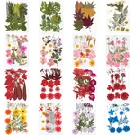 Pressed Flowers Real Dried Flowers Dry Plants For Preserved Flower DIY Epoxy Resin Pendant Necklace Jewelry Making Craft