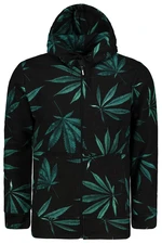 Men's hoodie Aliatic