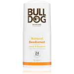 Bulldog Lemon & Bergamot Deodorant dezodorant roll-on 75 ml