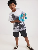 Grey-white boys' t-shirt with Desigual Mango print - Boys