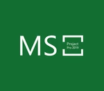 MS Project Professional 2019 CD Key
