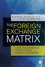 The Foreign Exchange Matrix