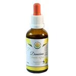 SALVIA PARADISE Damiána Turnera diffusa tinktura 50 ml
