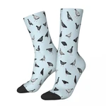 Pigeons Doing Pigeon Things Socks Male Mens Women Spring Stockings Hip Hop
