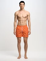 Big Star Man's Swim_shorts Swimsuit 390014  701