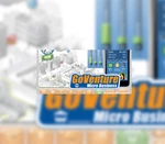 GoVenture MICRO BUSINESS Steam CD Key