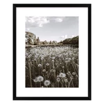 Plakat 40x50 cm Meadow