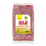 WOLFBERRY Goji kustovnice čínská 500 g