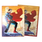Dragon Shield Obaly na karty Dragon Shield Brushed Art Sleeves - Superman – 100 ks