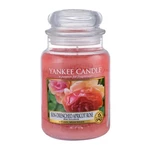 Yankee Candle Sun-Drenched Apricot Rose 623 g vonná svíčka unisex