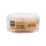 WoodWick Oat Flower 31 g vonná svíčka unisex