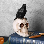 Halloween Home Decor Crow Skull Statues Sculptures Resin Decorative Craft Crow Skeleton for Halloween Party Decor